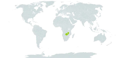 Fadogia luangwae world distribution map, present in Zambia