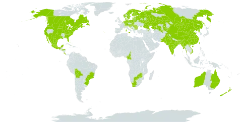 Fagopyrum esculentum world distribution map, present in Armenia, Australia, Austria, Belgium, Bangladesh, Bulgaria, Bahamas, Bosnia and Herzegovina, Belarus, Bolivia (Plurinational State of), Brazil, Bhutan, Botswana, Canada, Switzerland, China, Cameroon, Costa Rica, Germany, Denmark, Spain, Estonia, Finland, France, United Kingdom of Great Britain and Northern Ireland, Honduras, Croatia, Hungary, India, Italy, Kazakhstan, Kyrgyzstan, Liechtenstein, Lithuania, Latvia, Mexico, Malta, Myanmar, Montenegro, Mongolia, Netherlands, Norway, Nepal, New Zealand, Pakistan, Poland, Korea (Democratic People's Republic of), Portugal, Romania, Russian Federation, Slovakia, Slovenia, Sweden, Taiwan, Province of China, Ukraine, United States of America, Uzbekistan, Viet Nam, South Africa, and Zimbabwe