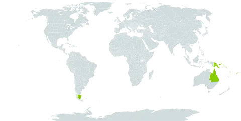 Fagraea berteroana world distribution map, present in Argentina, American Samoa, Australia, Cook Islands, Fiji, Micronesia (Federated States of), Guam, Northern Mariana Islands, Niue, Palau, Papua New Guinea, Solomon Islands, Tonga, United States of America, Vanuatu, and Samoa