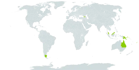 Fagraea gracilipes world distribution map, present in Argentina, Australia, Fiji, Georgia, Malaysia, Papua New Guinea, Puerto Rico, and Solomon Islands