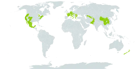 Fallopia baldschuanica world distribution map, present in Afghanistan, Austria, Bulgaria, Bosnia and Herzegovina, China, Czech Republic, Germany, Spain, France, United Kingdom of Great Britain and Northern Ireland, Greece, Croatia, Italy, Mexico, New Zealand, Pakistan, Portugal, Romania, Slovakia, Slovenia, Tajikistan, United States of America, and Uzbekistan