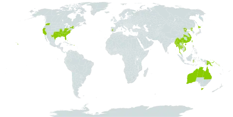 Fatoua villosa world distribution map, present in Australia, Bahamas, China, Spain, Hong Kong, Indonesia, Japan, Myanmar, Philippines, Papua New Guinea, Puerto Rico, Korea (Democratic People's Republic of), Solomon Islands, Thailand, Taiwan, Province of China, United States of America, and Viet Nam