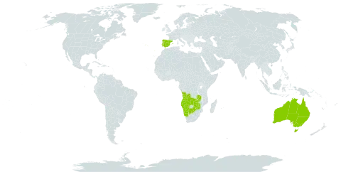 Ferraria world distribution map, present in Angola, Australia, Botswana, Spain, Namibia, Norfolk Island, Portugal, Zambia, and Zimbabwe