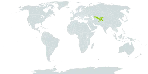 Ferula kokanica world distribution map, present in Afghanistan, India, Kyrgyzstan, Pakistan, Tajikistan, and Uzbekistan