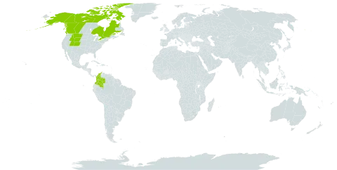 Festuca baffinensis world distribution map, present in Canada, Colombia, Svalbard and Jan Mayen, and United States of America