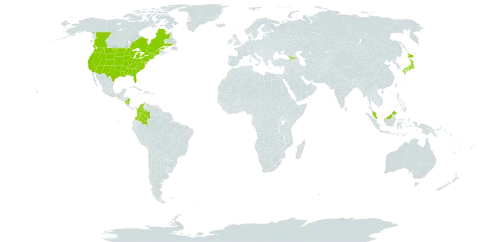 Festuca octoflora world distribution map, present in Åland Islands, Canada, Colombia, Micronesia (Federated States of), Georgia, Japan, Malaysia, Nicaragua, and United States of America