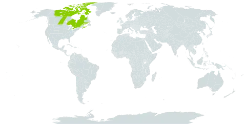 Festuca prolifera world distribution map, present in Canada