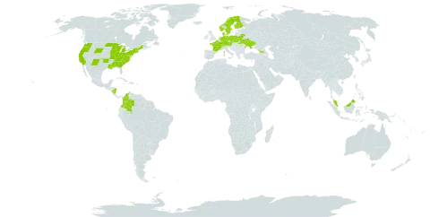 Festuca trachyphylla world distribution map, present in Åland Islands, Austria, Belarus, Switzerland, Colombia, Czech Republic, Germany, Denmark, Finland, France, Micronesia (Federated States of), Georgia, Malaysia, Nicaragua, Netherlands, Norway, Poland, Sweden, Ukraine, and United States of America