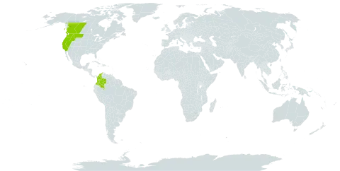 Festuca viridula world distribution map, present in Canada, Colombia, and United States of America