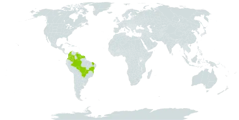 Ficus broadwayi world distribution map, present in Brazil, Colombia, French Guiana, Guyana, Suriname, Trinidad and Tobago, and Venezuela (Bolivarian Republic of)