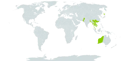 Ficus concinna world distribution map, present in Australia, Bangladesh, Bhutan, China, India, Iceland, Japan, Cambodia, Lao People's Democratic Republic, Myanmar, Malaysia, Nepal, Pakistan, Philippines, Thailand, and Viet Nam