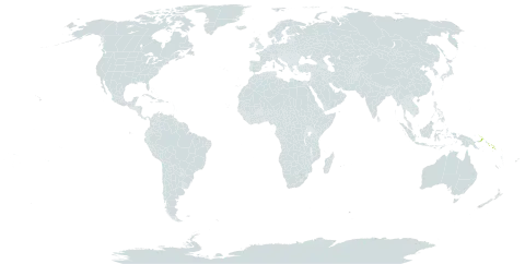 Ficus erinobotrya world distribution map, present in Papua New Guinea and Solomon Islands