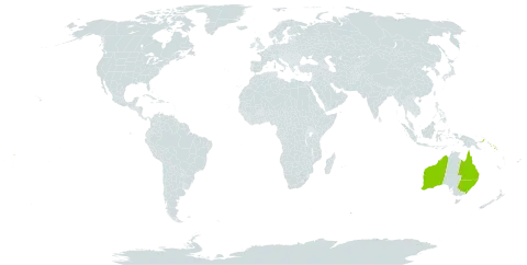 Ficus obliqua world distribution map, present in American Samoa, Australia, Fiji, Niue, Papua New Guinea, Solomon Islands, Tonga, and Samoa