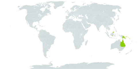 Ficus virens var. dispersa world distribution map, present in Australia, Micronesia (Federated States of), Indonesia, Malaysia, Papua New Guinea, Solomon Islands, and Vanuatu