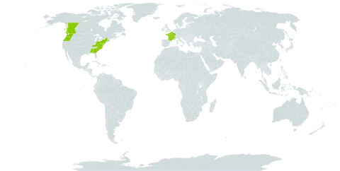 Filago germanica world distribution map, present in Canada, France, and United States of America