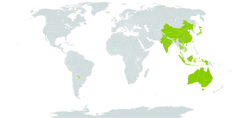 Fimbristylis sericea world distribution map, present in Argentina, Australia, China, Indonesia, India, Iceland, Japan, Sri Lanka, Malaysia, Korea (Democratic People's Republic of), Thailand, Taiwan, Province of China, and Viet Nam