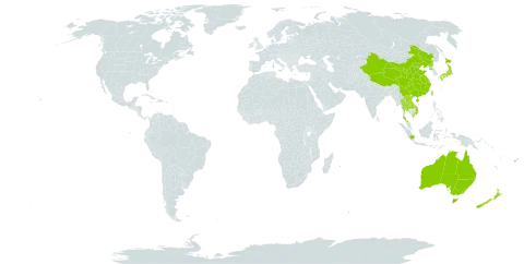 Fimbristylis squarrosa var. esquarrosa world distribution map, present in Australia, China, Fiji, Indonesia, Japan, Lao People's Democratic Republic, New Zealand, Philippines, Korea (Democratic People's Republic of), Réunion, Thailand, Taiwan, Province of China, and Viet Nam