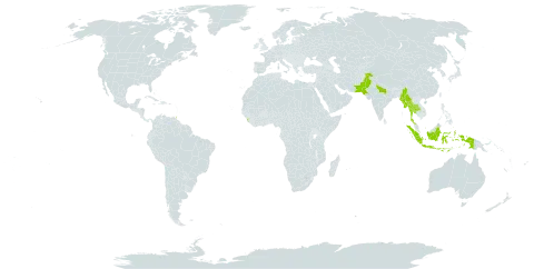 Firmiana fulgens world distribution map, present in Indonesia, India, Sri Lanka, Myanmar, Nepal, Pakistan, Thailand, and Trinidad and Tobago