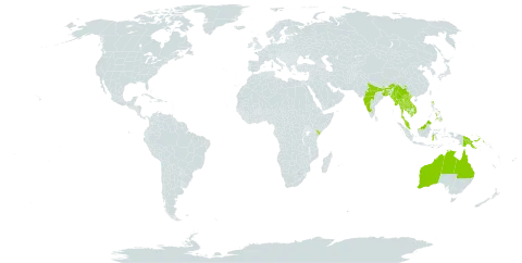 Flemingia trifoliata world distribution map, present in Australia, Bangladesh, China, Indonesia, India, Kenya, Cambodia, Lao People's Democratic Republic, Myanmar, Malaysia, Philippines, Papua New Guinea, Thailand, and Viet Nam