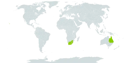 Flindersia brayleyana world distribution map, present in Australia, United States of America, and South Africa