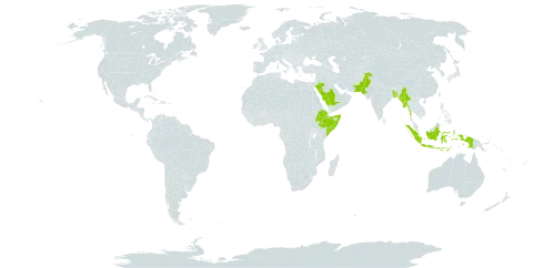 Flueggea leucopyrus world distribution map, present in Bangladesh, Ethiopia, Indonesia, Myanmar, Pakistan, Saudi Arabia, and Somalia