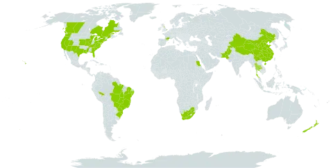 Foeniculum vulgare world distribution map, present in Brazil, Canada, China, France, United Kingdom of Great Britain and Northern Ireland, New Zealand, Pakistan, Sudan, Thailand, United States of America, and South Africa