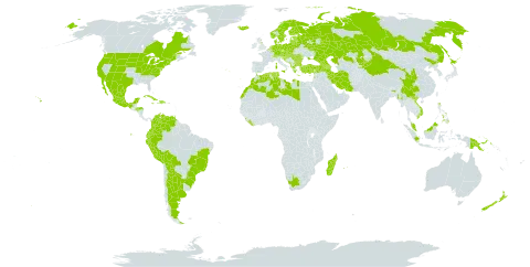 Fragaria vesca world distribution map, present in Albania, Argentina, Armenia, Austria, Azerbaijan, Belgium, Bulgaria, Bosnia and Herzegovina, Belarus, Bolivia (Plurinational State of), Brazil, Canada, Switzerland, China, Colombia, Cuba, Czech Republic, Germany, Denmark, Dominican Republic, Algeria, Ecuador, Spain, Estonia, Finland, France, United Kingdom of Great Britain and Northern Ireland, Georgia, Greece, Honduras, Croatia, Haiti, Hungary, Indonesia, India, Iran (Islamic Republic of), Iceland, Italy, Jamaica, Japan, Kazakhstan, Kyrgyzstan, Lebanon, Liberia, Libya, Liechtenstein, Sri Lanka, Lithuania, Luxembourg, Latvia, Morocco, Moldova (Republic of), Madagascar, Mexico, North Macedonia, Malta, Myanmar, Montenegro, Mauritius, Malaysia, Netherlands, Norway, New Zealand, Peru, Philippines, Papua New Guinea, Poland, Portugal, Réunion, Romania, Russian Federation, Serbia, Slovakia, Slovenia, Sweden, Trinidad and Tobago, Tunisia, Turkey, Ukraine, United States of America, Venezuela (Bolivarian Republic of), Viet Nam, and South Africa