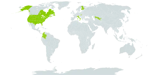 Fragaria virginiana world distribution map, present in Canada, Colombia, Finland, France, Italy, Saint Pierre and Miquelon, Slovakia, United States of America, and Uzbekistan