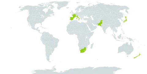 Freesia refracta world distribution map, present in Bermuda, Spain, France, Italy, Japan, New Zealand, Pakistan, Portugal, and South Africa