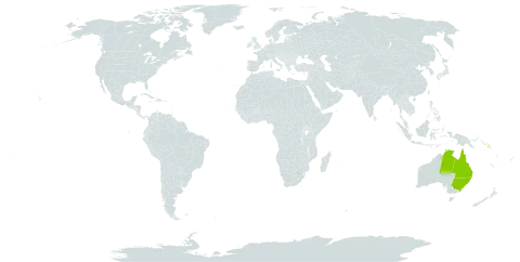 Freycinetia percostata world distribution map, present in Australia and Solomon Islands