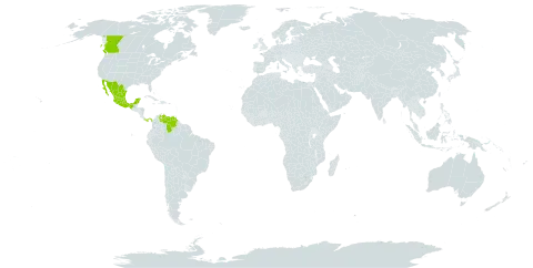 Fridericia mollissima world distribution map, present in Canada, Sri Lanka, Mexico, Panama, Philippines, and Venezuela (Bolivarian Republic of)