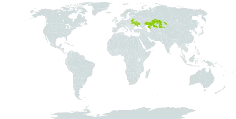 Fritillaria ruthenica world distribution map, present in Belarus, Kazakhstan, and Ukraine