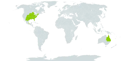 Froelichia floridana world distribution map, present in Australia, Mexico, and United States of America