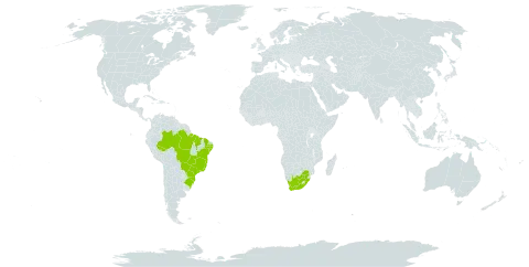 Frullania ericoides world distribution map, present in Brazil and South Africa