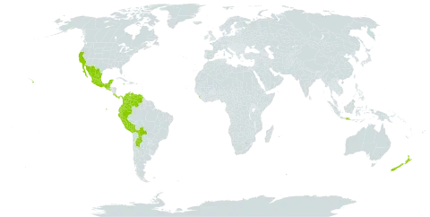 Fuchsia boliviana world distribution map, present in Argentina, Bolivia (Plurinational State of), Colombia, Costa Rica, Ecuador, Spain, Guatemala, Indonesia, Jamaica, Sri Lanka, Mexico, New Zealand, Panama, Peru, Portugal, Réunion, El Salvador, United States of America, and Venezuela (Bolivarian Republic of)