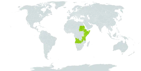 Fuerstia world distribution map, present in Angola, Ethiopia, Kenya, Rwanda, Sudan, Somalia, Tanzania, United Republic of, Uganda, and Zambia