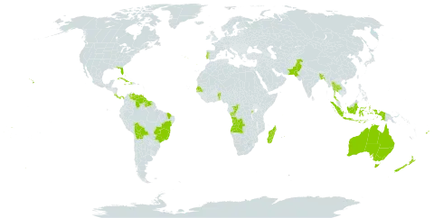 Furcraea foetida world distribution map, present in Angola, Andorra, Australia, Benin, Bangladesh, Bolivia (Plurinational State of), Brazil, Congo, Cook Islands, Costa Rica, Cuba, Dominica, Fiji, Guyana, Haiti, Indonesia, Jamaica, Madagascar, Mauritius, Norfolk Island, Nauru, New Zealand, Pakistan, Panama, Portugal, Rwanda, Senegal, Suriname, Seychelles, Thailand, Tonga, United States of America, Venezuela (Bolivarian Republic of), and Samoa