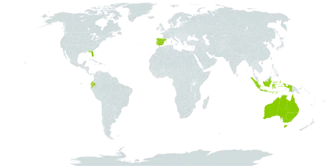 Furcraea selloa world distribution map, present in Andorra, Australia, Ecuador, Spain, Indonesia, Portugal, and United States of America