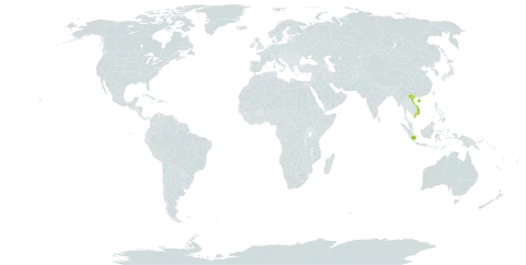 Gahnia baniensis world distribution map, present in China, Algeria, Indonesia, Iceland, Malaysia, and Viet Nam