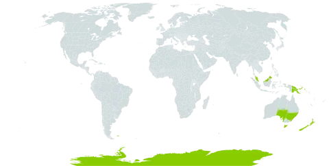 Gaimardia world distribution map, present in Antarctica, Australia, Falkland Islands (Malvinas), Malaysia, New Zealand, and Papua New Guinea