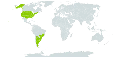 Galactia benthamiana world distribution map, present in Argentina, Brazil, Uruguay, and United States of America