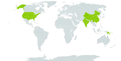 Galactia striata var. villosa world distribution map, present in China, India, Papua New Guinea, and United States of America