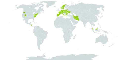 Galanthus world distribution map, present in Åland Islands, Albania, Austria, Bulgaria, Belarus, Switzerland, Czech Republic, Germany, Spain, France, Micronesia (Federated States of), Greece, Hungary, Iran (Islamic Republic of), Italy, Malaysia, Nicaragua, Netherlands, Norway, Palau, Poland, Romania, Sweden, Turks and Caicos Islands, Ukraine, and United States of America