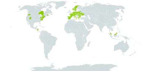 Galanthus nivalis world distribution map, present in Albania, Austria, Bulgaria, Belarus, Canada, Switzerland, Czech Republic, Germany, Spain, France, Micronesia (Federated States of), Greece, Hungary, Italy, Malaysia, Nicaragua, Netherlands, Norway, Poland, Romania, Sweden, Ukraine, and United States of America