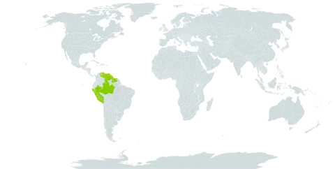 Galeottia burkei world distribution map, present in Brazil, Guyana, Peru, Suriname, and Venezuela (Bolivarian Republic of)