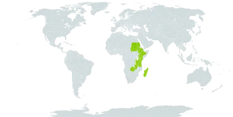 Galiniera world distribution map, present in Burkina Faso, Ethiopia, Kenya, Madagascar, Rwanda, Sudan, Tanzania, United Republic of, Uganda, and Zambia