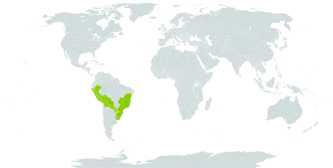 Galium noxium world distribution map, present in Bolivia (Plurinational State of), Brazil, Peru, Paraguay, and Uruguay