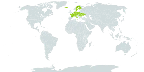 Galium pumilum world distribution map, present in Austria, Switzerland, Czech Republic, Germany, Denmark, Finland, France, Hungary, Iceland, Italy, Netherlands, Poland, Romania, Sweden, and Ukraine