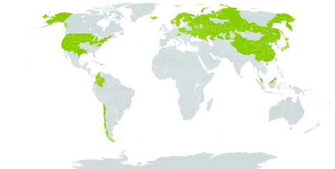 Galium trifidum world distribution map, present in Austria, Chile, China, Colombia, Dominica, Finland, France, Micronesia (Federated States of), Haiti, Iceland, Japan, Kazakhstan, Malaysia, Norway, Poland, Korea (Democratic People's Republic of), Russian Federation, Sweden, Turks and Caicos Islands, Taiwan, Province of China, Ukraine, and United States of America