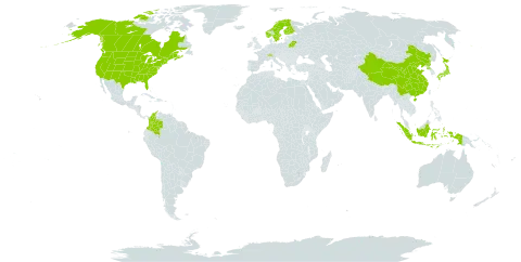 Galium triflorum world distribution map, present in Åland Islands, Belarus, Canada, Switzerland, China, Colombia, Finland, France, Micronesia (Federated States of), Indonesia, Japan, Norway, Nepal, Korea (Democratic People's Republic of), Sweden, and United States of America